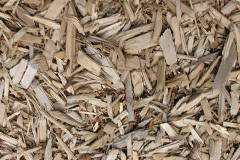 biomass boilers Wyke Regis